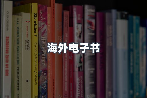 海外电子书